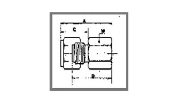 Fittings Female Connector Fittings Female Connector