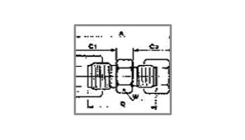 Fittings Reducing Union Fittings Reducing Union