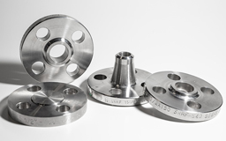 310 SS Flanges