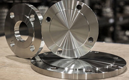 316 SS Flanges