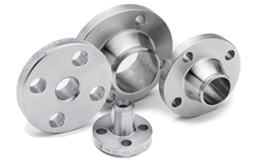 SS 304 Flanges