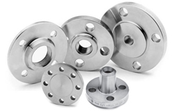 SS 316 Flanges