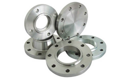 SS Flanges SS Flanges