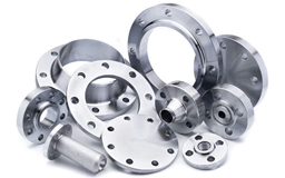 Stainless Steel 310 Flanges