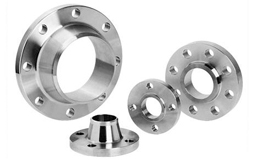 Stainless Steel 316 Flanges